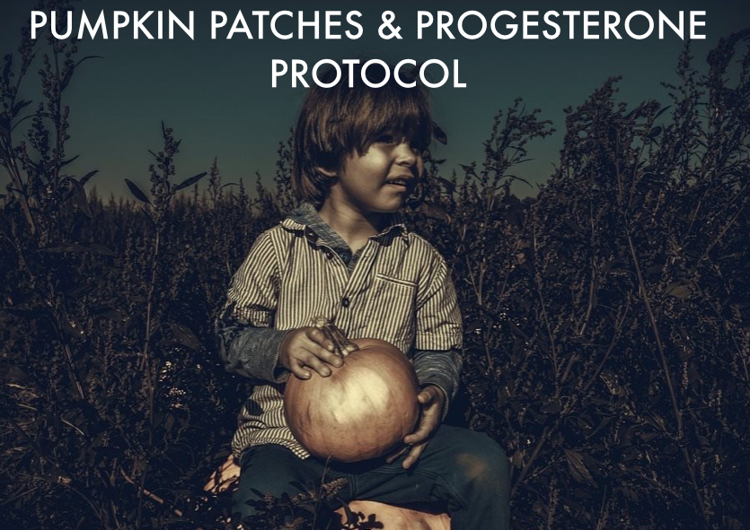 Featured image for “Pumpkin Patch and Progesterone Protocol”