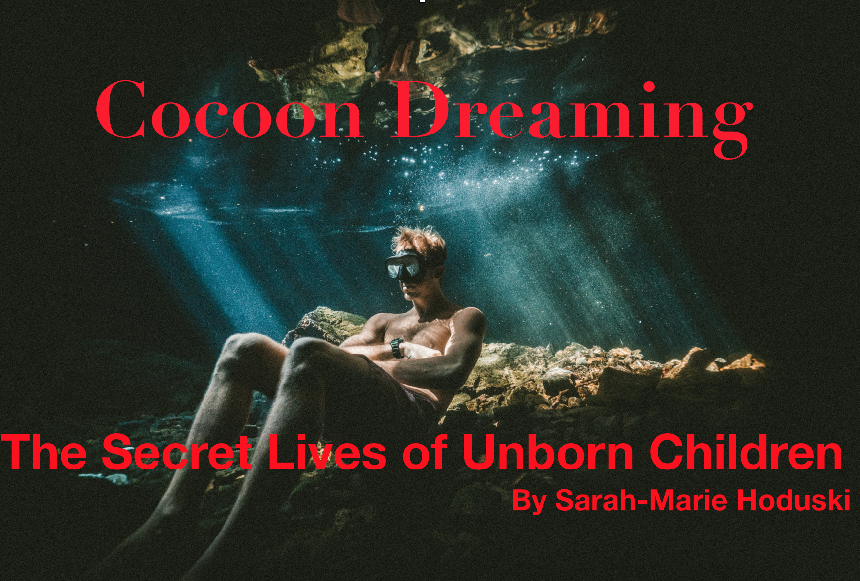 Featured image for “Cocoon Dreaming: The Secret Lives of Unborn Children”