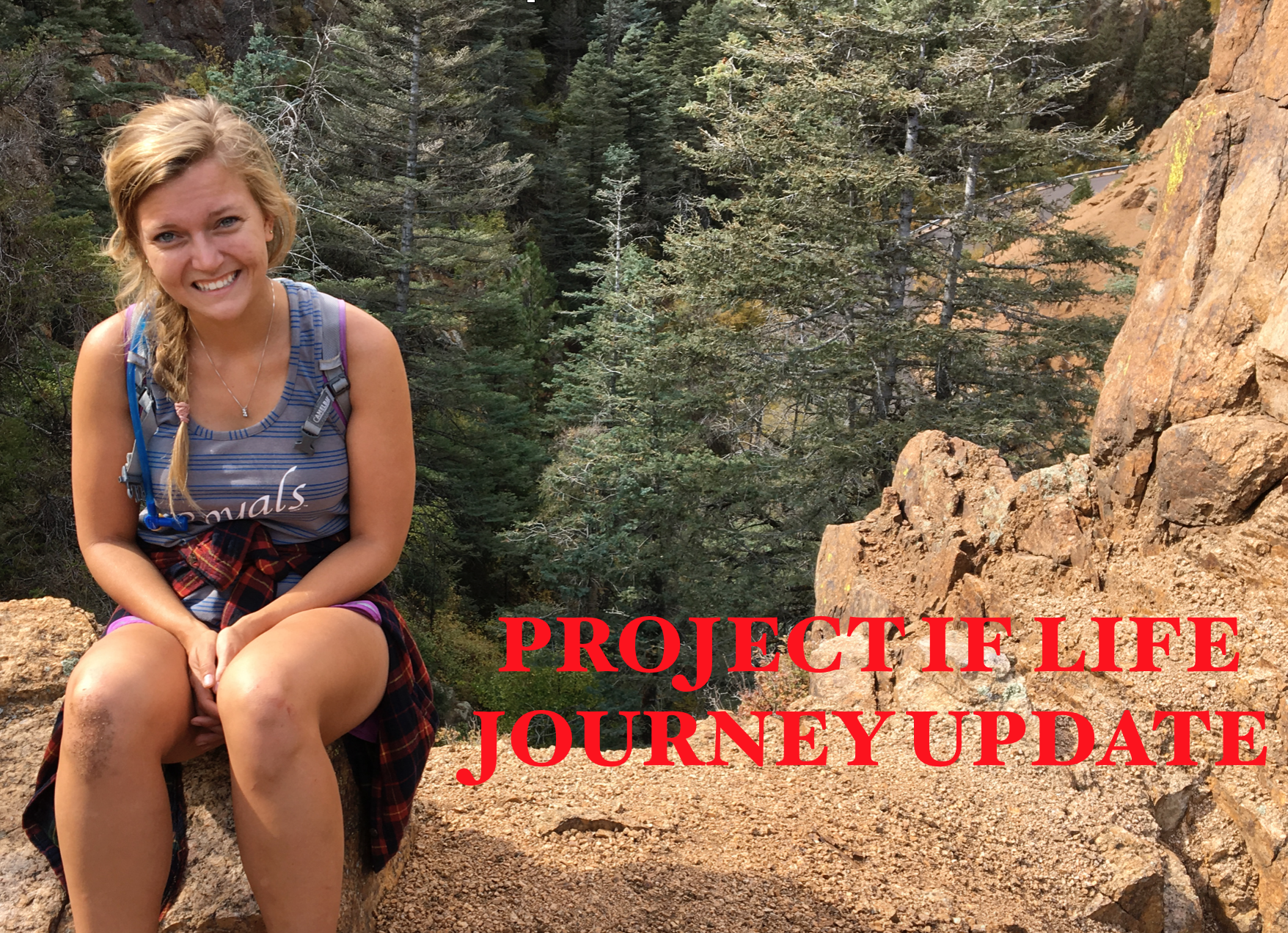 Featured image for “Project If Life Journey Update”